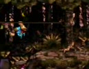 スーパードンキーコング３を斬新な気持ちでプレイできるようにした３