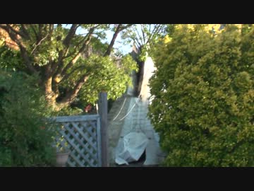 伊豆河津冬キャンプもどき～後編～