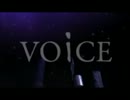VOiCE　うなってみた