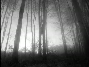 Monochrome Dream / Daisuke Ohnuma