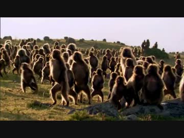 高山・天空の闘い (01 of 02)