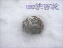 【四季百夜】炬燵の中には　ナヴァリン【冬】