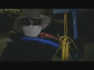 【実況】ヒンバス１匹とポケウォーカーだけで殿堂入り(ポケモンSS）part10