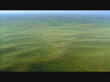 草原・命せめぎあう (01 of 02)