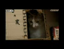 Doracast 2008-01-01 ハイライト ★★★