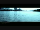 rain stops, good-bye 歌ってみた / URATA DAI