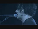 Jack White - Carolina Drama (The Raconteurs) [Live] #9