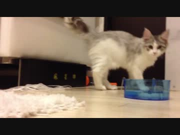 「今日からファミリー」1