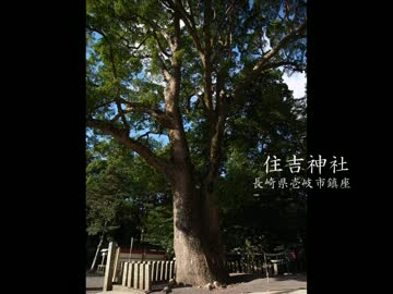 【高画質】古社の風景 ～壱岐 住吉神社～