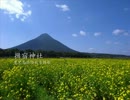 【高画質】古社の風景 ～薩摩 揖宿神社～