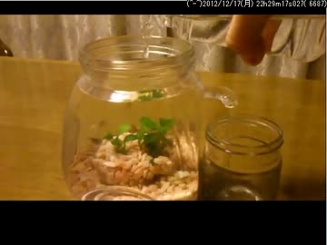 わりと便利な水槽をつくった