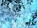 embrace/BUMP OF CHICKEN 歌ってみた