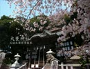 【高画質】古社の風景 ～常陸 大甕神社～