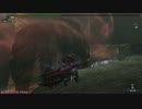 【MHF】剛種ヤマツカミ　狩猟笛ソロ　9ラスタ