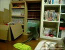 【夜な夜な猫集会】一人サッカーに勤しむ灰子