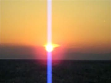 カメカメクルーズ　緊急！緊急！なんやコレ？なんか飛んどる！