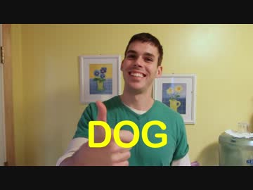 もし犬と猫が人間だったら