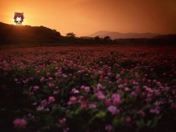 コンテンポラリーネイション神社.nmm
