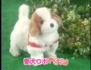 第179位：日本直販 愛犬ロボ「てつ」