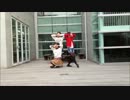 【しおたんふぁみりー】Mr.wonderboy 【踊ってみた】
