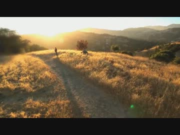 Neal Schon - TheCalling  [PV]