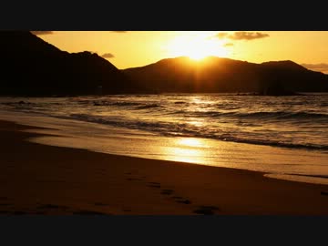 行かずに死ねるか！！ 2012年 ハイライト 後編