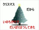 クリスマスだから命がけで大爆発した【ポケモンＢＷ２ランフリ】