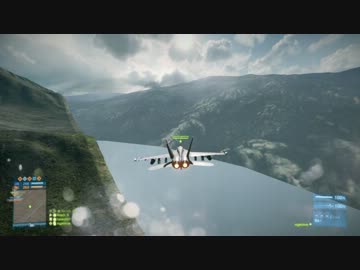 【BF3】ザ・ワールド【バグ】