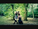 【踊ってみた】Mr.wonderboy【しのとろえり】　反転