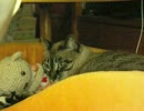 ママの子守唄で眠くなるジャンくん