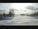 【オリジナル曲】frozen waste