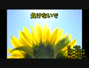 負けないで [off vocal]