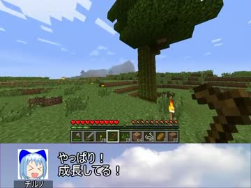 【東方鉱工芸】チルノの第二次妖精大戦争？⑨後編【minecraft】