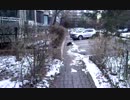 イブの朝の出来事