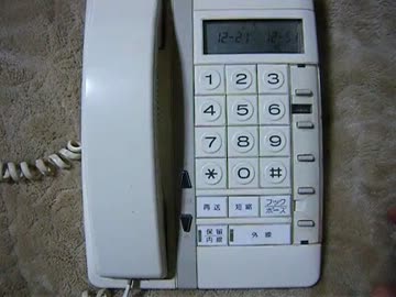 電話機でクリスマス？なにそれ美味しいの？を演奏してみた