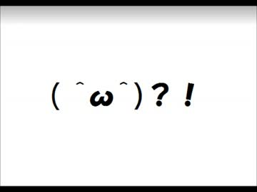 素人の無謀な安価水槽立ち上げ（2）
