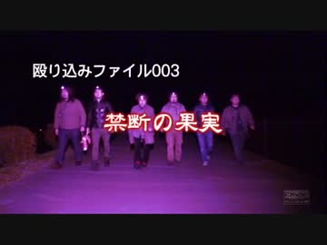 【殴り込み】ファイル０３　禁断の果実【東海道編】