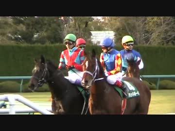 【現地・日記】2012年12月22日の阪神競馬場（後編）