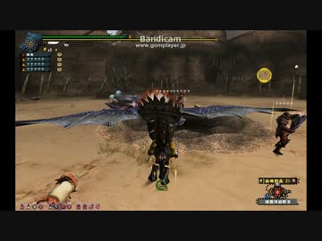 【MHF】桃と黒紫　双３笛１ 笛視点【1ラスタ】
