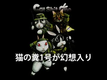 猫の糞1号が幻想入り　第11話