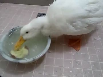 久しぶりの