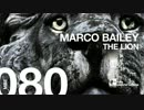 Marco Bailey - The Lion (Original Mix)