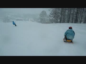 仏珍百景 雪上マリオカート！？