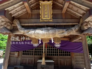 【高画質】古社の風景 ～因幡 白兎神社～