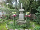 桜の季節　伊吹を歩く ４