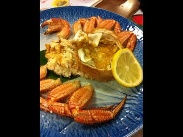 なめこ列島　～なめこと行く秋の北海道・９～