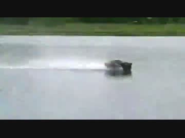 水面を走るラジコンを開発してみた