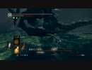 【ダークソウル】カラミット初見【撮影テスト＆エンコテスト】
