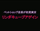 ペットショップ店長が初見実況「リンダキューブアゲイン」第５９回