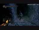【DLC初見】ダークソウルDLC実況　パリィ縛り　＃２２【人生初老】　